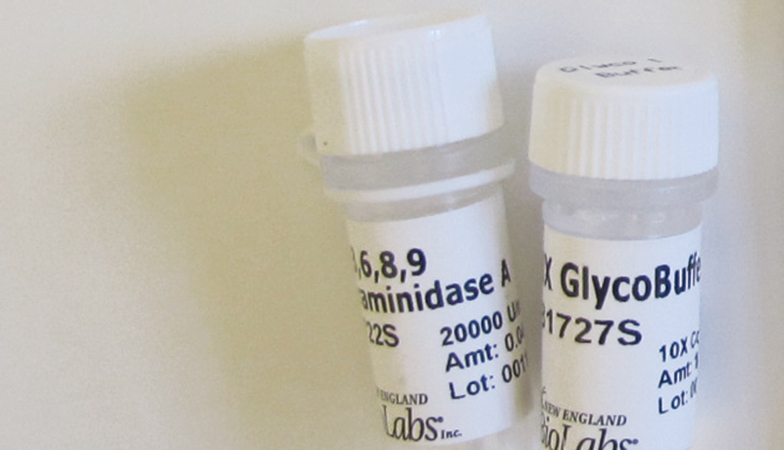 alpha 2 3 6 8 9 Neuraminidase A