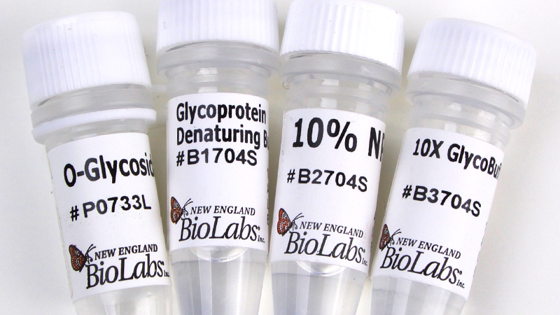 O Glycosidase