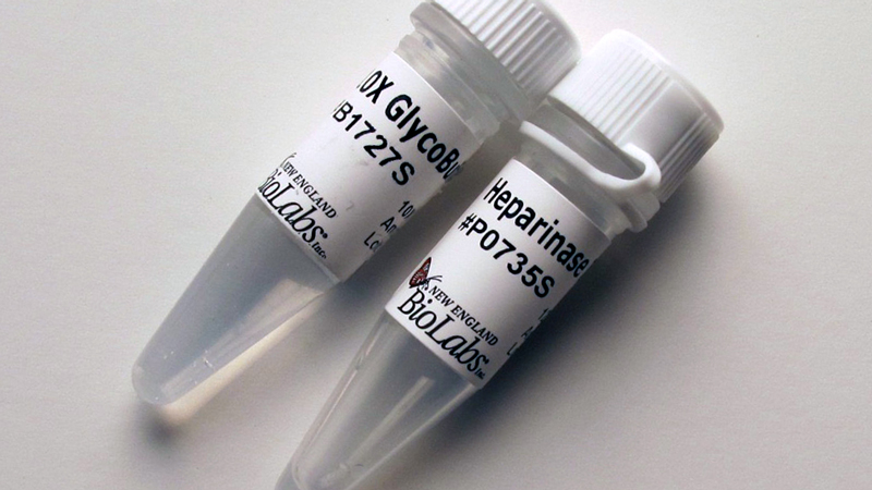 Bacteroides Heparinase I