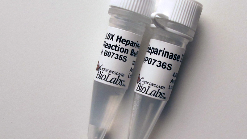 Bacteroides Heparinase II