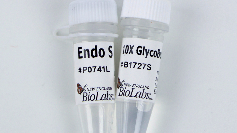 Endo S
