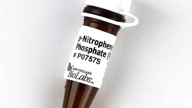p Nitrophenylphosphate PNPP
