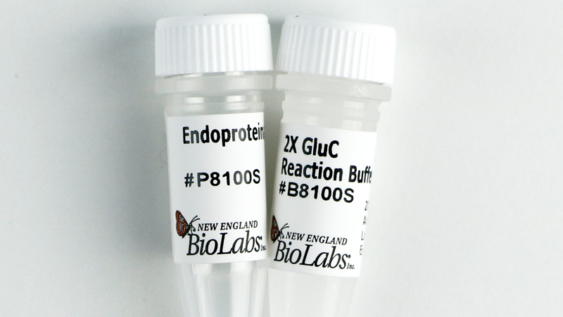 Endoproteinase GluC