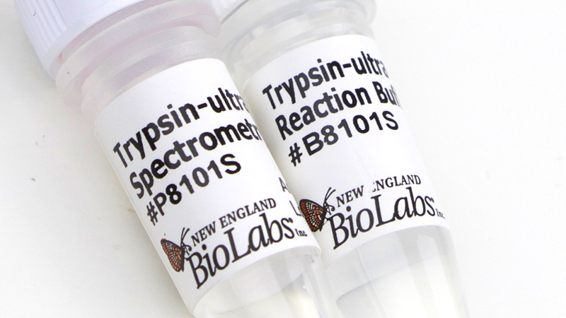 Trypsin ultra Mass Spectrometry Grade