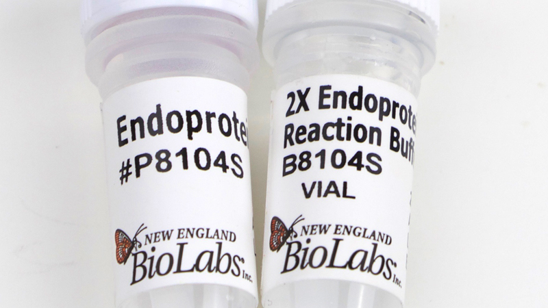 Endoproteinase AspN