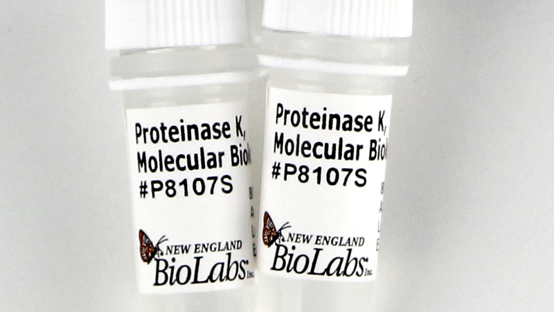 Proteinase K Molecular Biology Grade