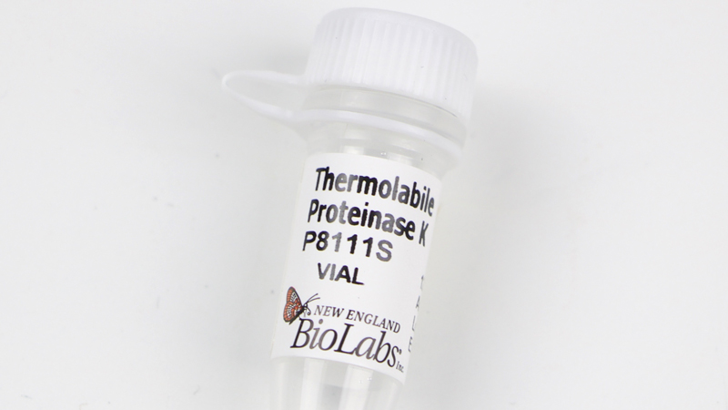 Thermolabile Proteinase K