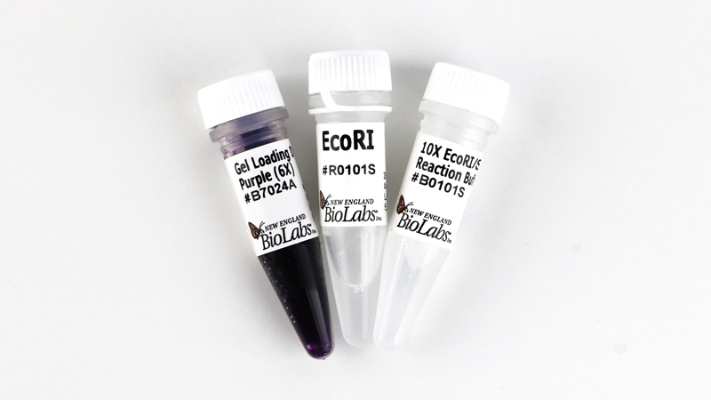 EcoRI