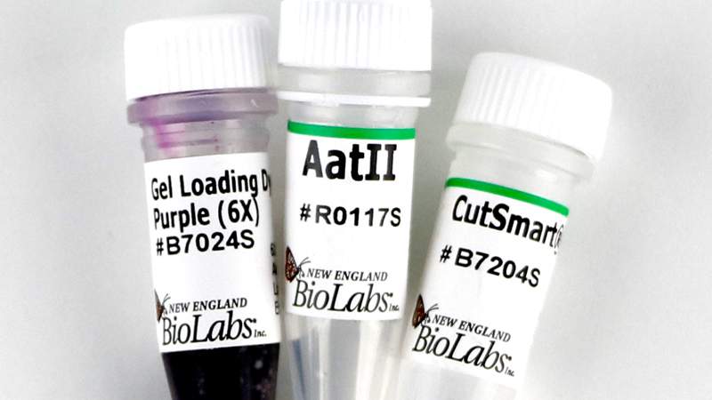 AatII