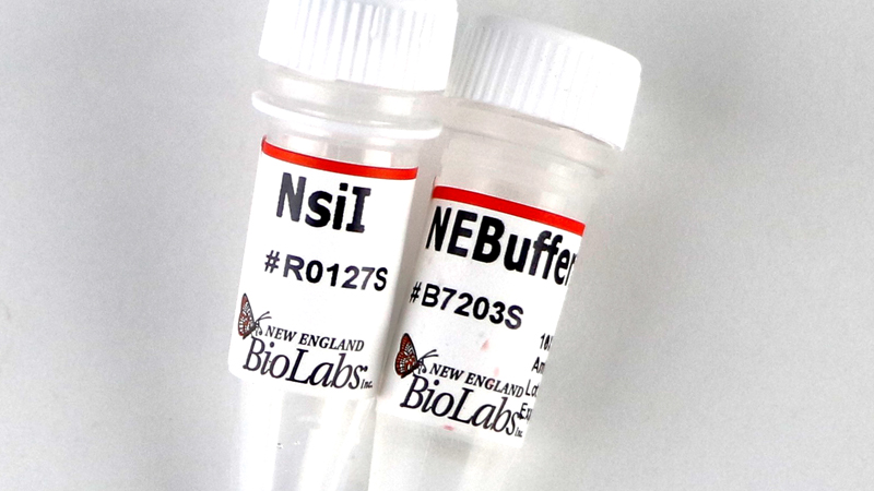 NsiI