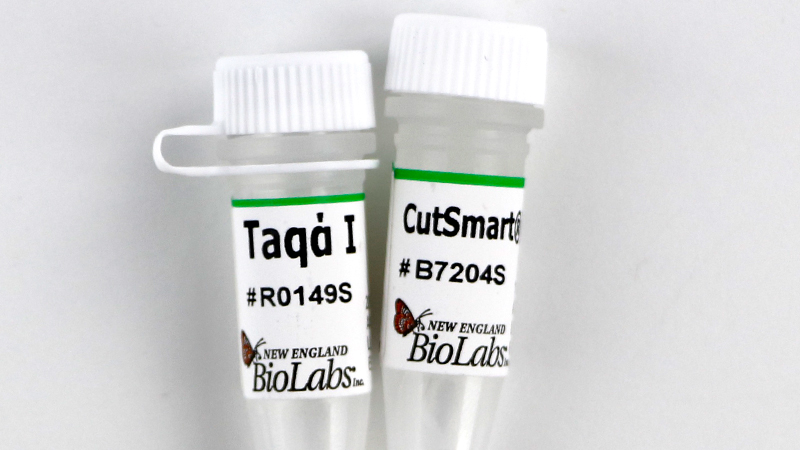 Taq alpha I