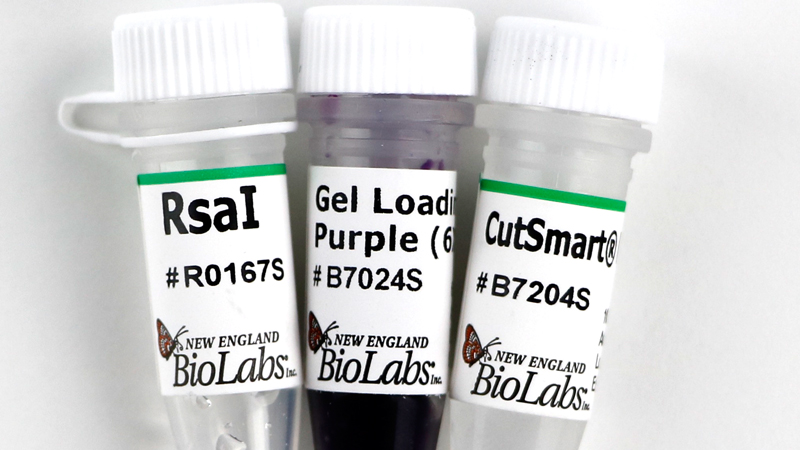 RsaI