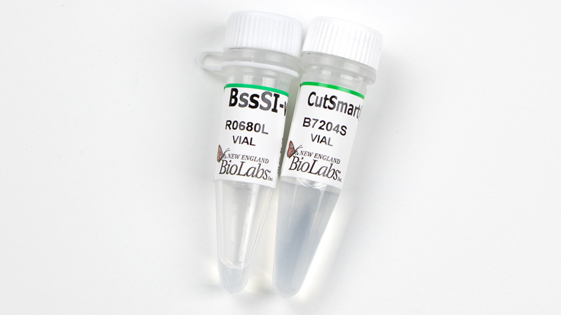 BssS alpha I