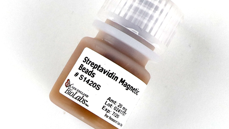 Streptavidin Magnetic Beads