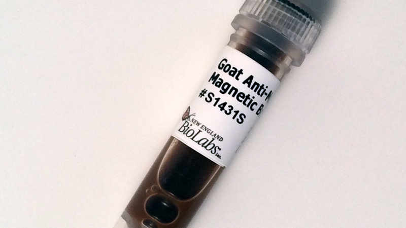 Goat Anti Mouse IgG Magnetic Beads