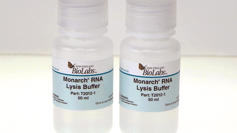 Monarch RNA Lysis Buffer