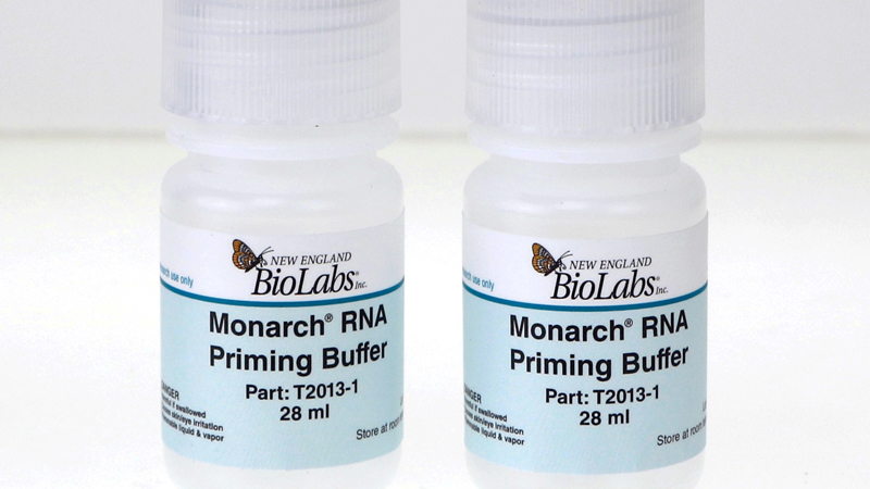 Monarch RNA Priming Buffer