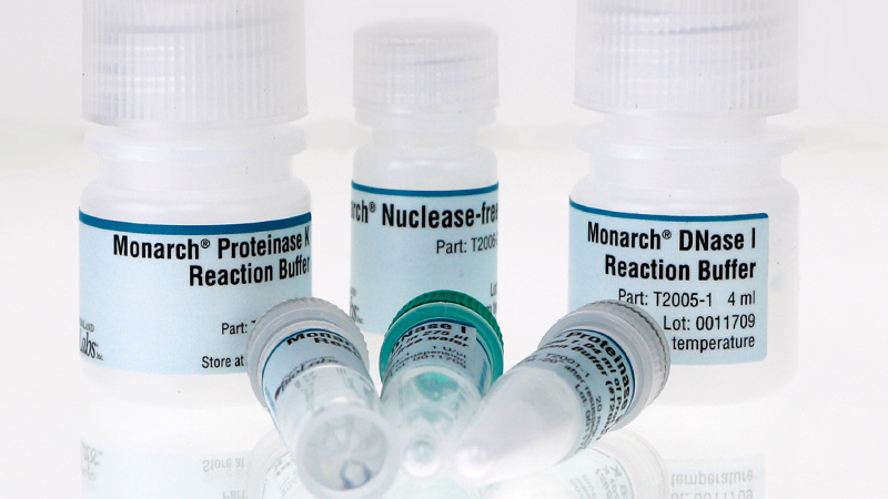 Monarch Total RNA Miniprep Enzyme Pack