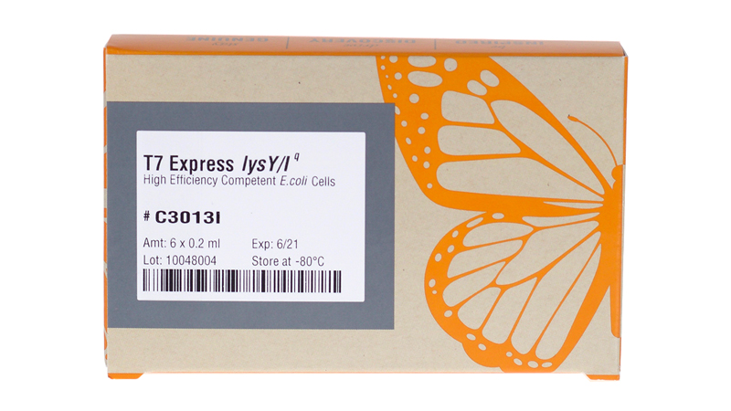 T7 Express Lysy Iq Competent E Coli High Efficiency Neb