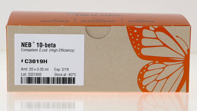 Neb 10 Beta Competent E Coli High Efficiency Neb