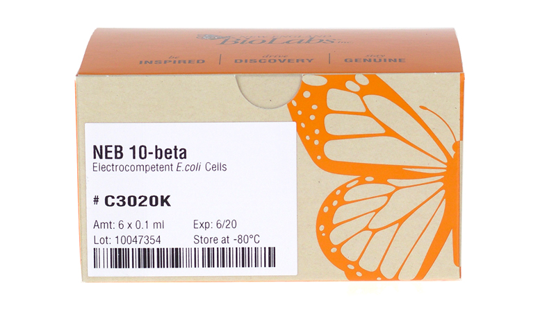 Neb 10 Beta Electrocompetent E Coli Neb