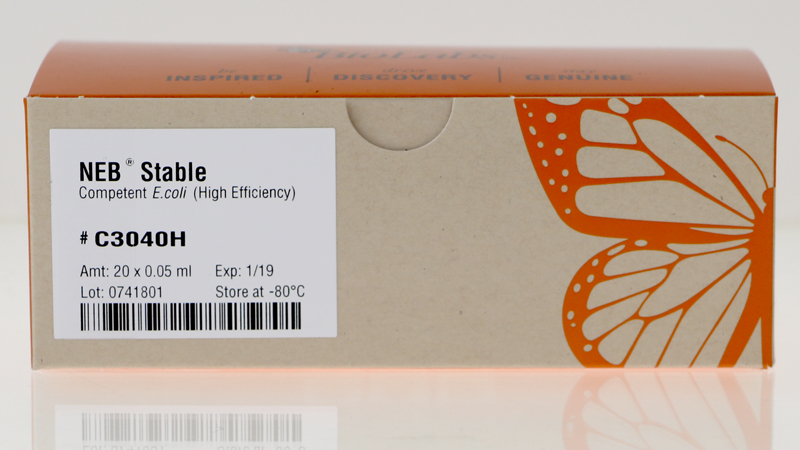 Neb Stable Competent E Coli High Efficiency Neb