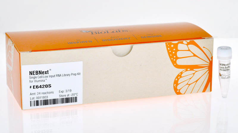 Nebnext Single Cell Low Input Cdna Synthesis Amplification Module Neb