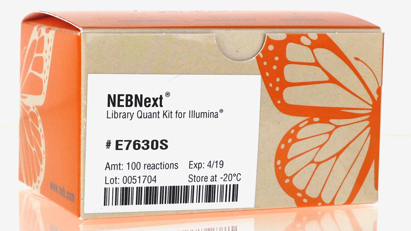 Nebnextツョ Ultra邃 Ii Dna Library Prep With Sample Purification Beads Neb Nebnextツョ Ultra邃 Ii Dna Library Prep With Sample Purification Beads Neb