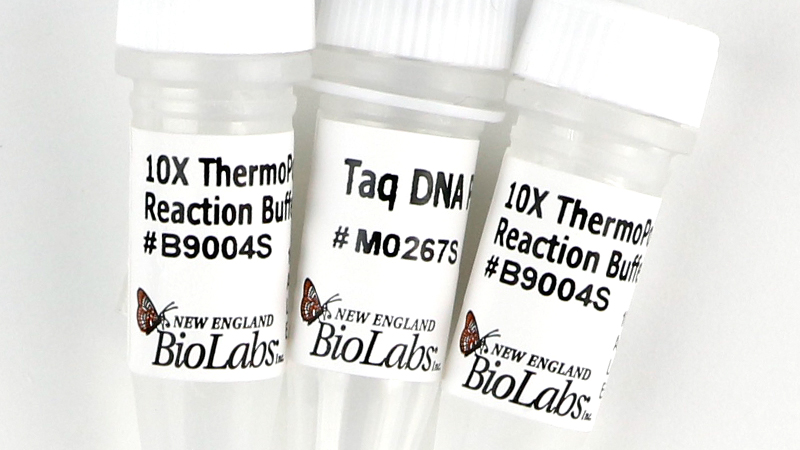 taq dna polymerase with thermopol