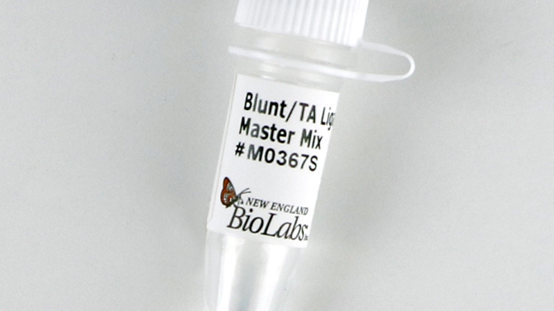 Blunt/TA Ligase Master Mix