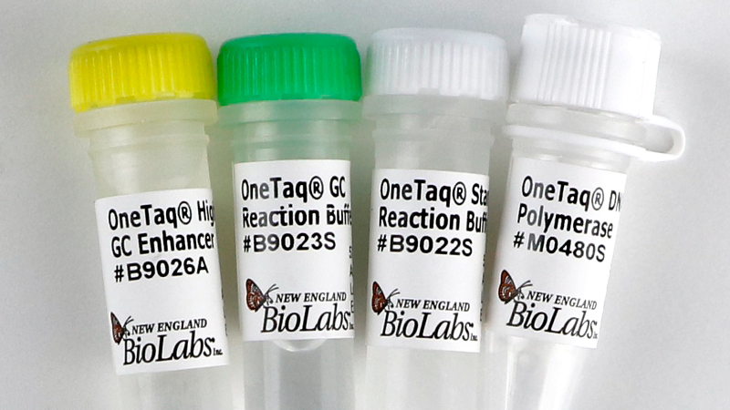 thermopol reaction buffer pack neb