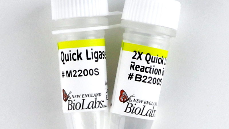 quick ligation kit neb