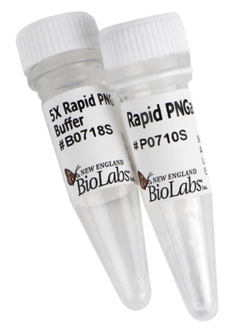 COVID_Product_RapidPNGaseF