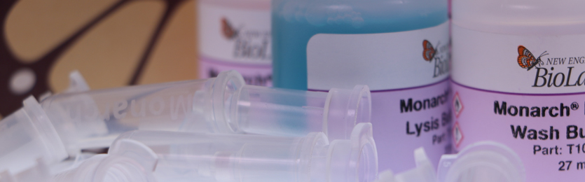 Monarch_EnvironmentalFAQs_Banner