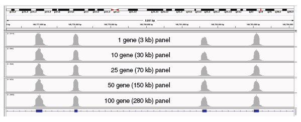Fig3_NEBNextDirectCR_IGV