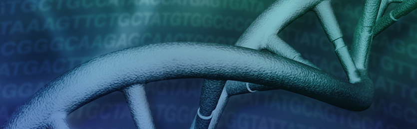 NEBNextPortal_Banner