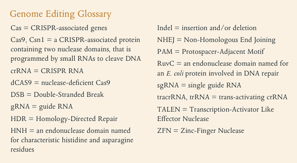 crispr cas9 targeted genome editing