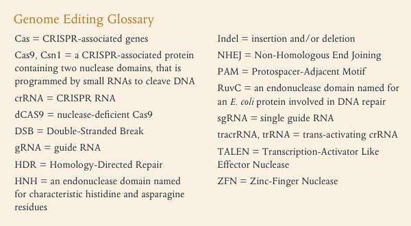 Genome Editing Glossary