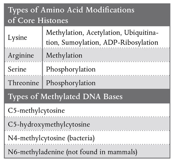 Histone Modification Chart