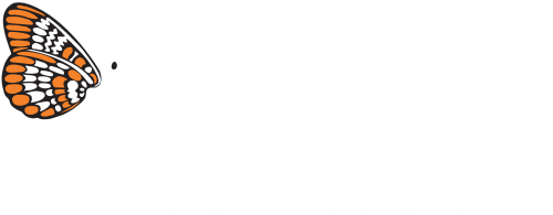 NEB_Logo_Light