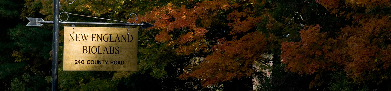 careers_banner