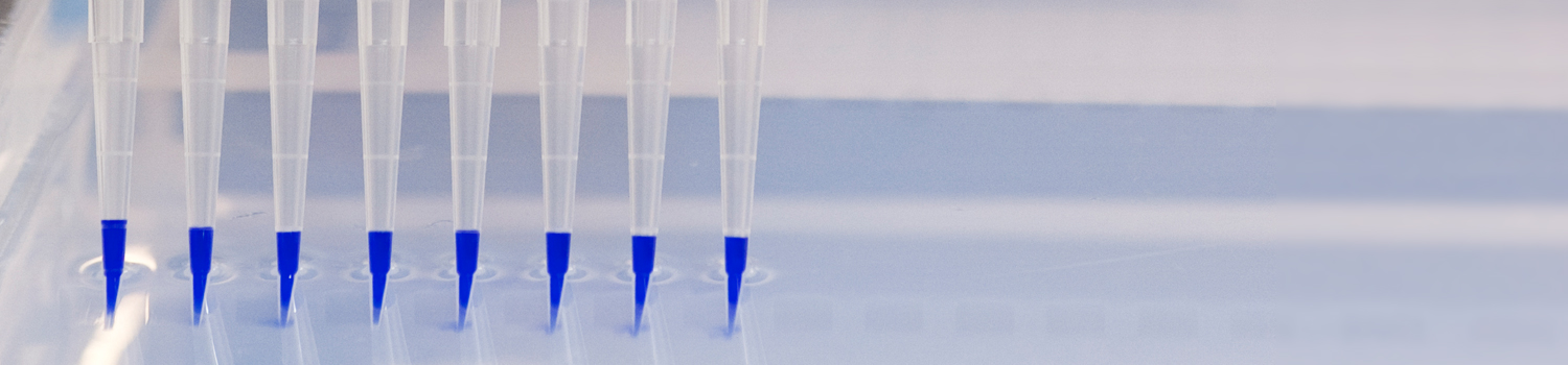 DNA Modification