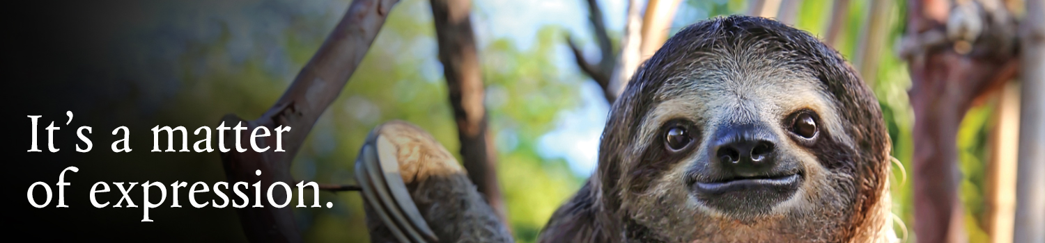 Protein Expression Sloth