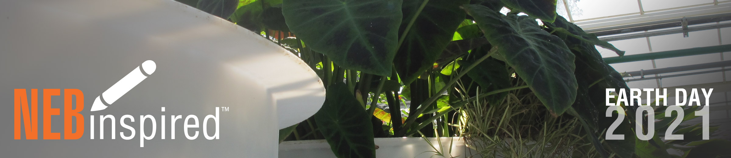 NEBinspired_Blog_EarthDay21_Wastewater_Banner_0421