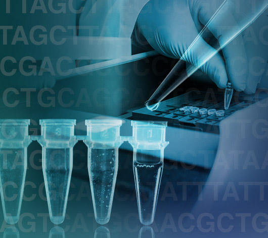 NEB inspired logo, microfuge tubes, pipette tip, scientists gloved hand