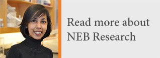 New England Biolabs Staff Scientist RNA research Bijoyita Roy, Ph.D