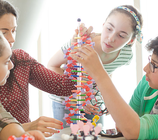Students examining a representation of DNA