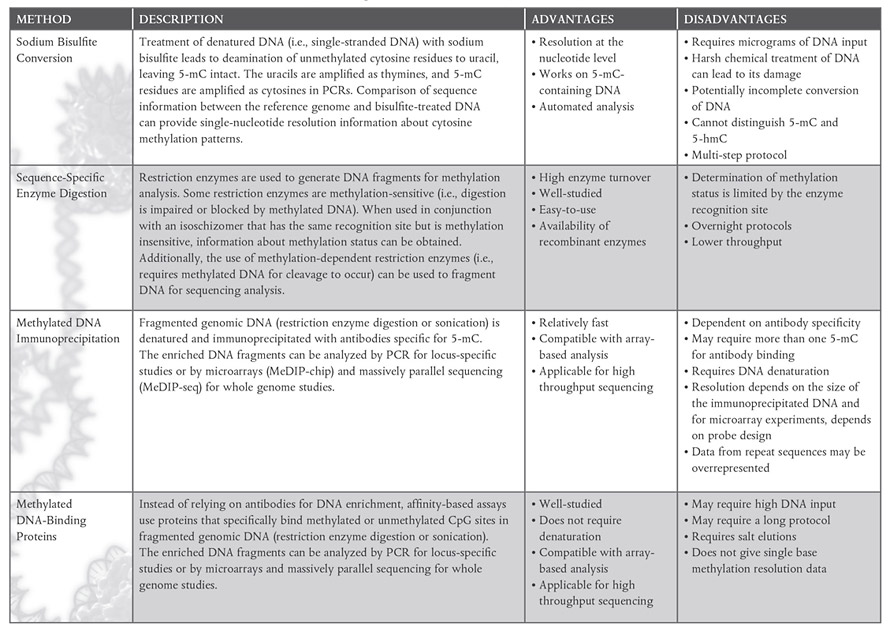 Histone Modification Chart