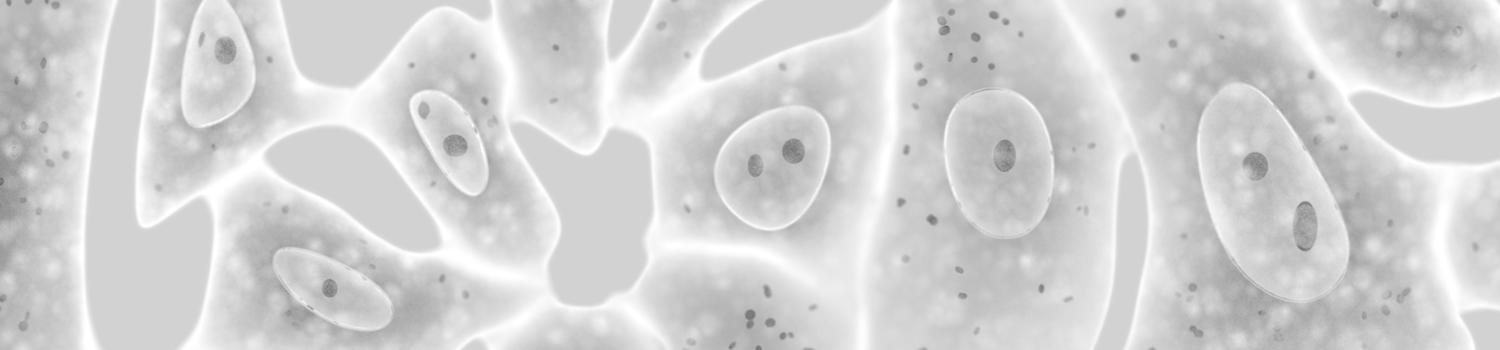 gene expression