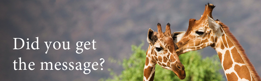 RNACampaign_Giraffes_Ban_835x260